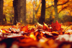 AdobeStock_539141236_Preview